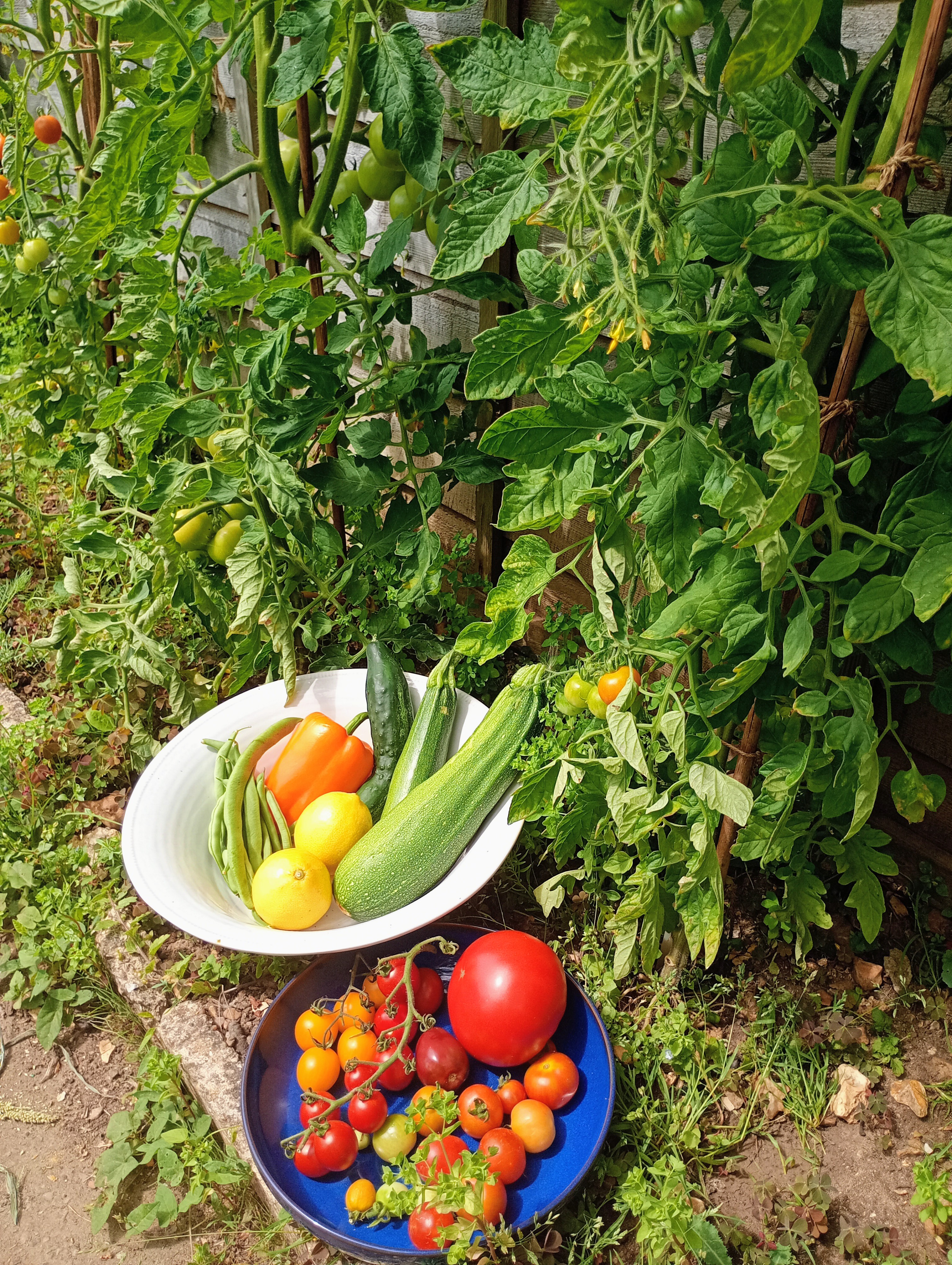 Home grown