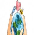 Creation Care Eco Tips - Published fortnightly