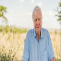 Ocean with David Attenborough - Friday 1st May