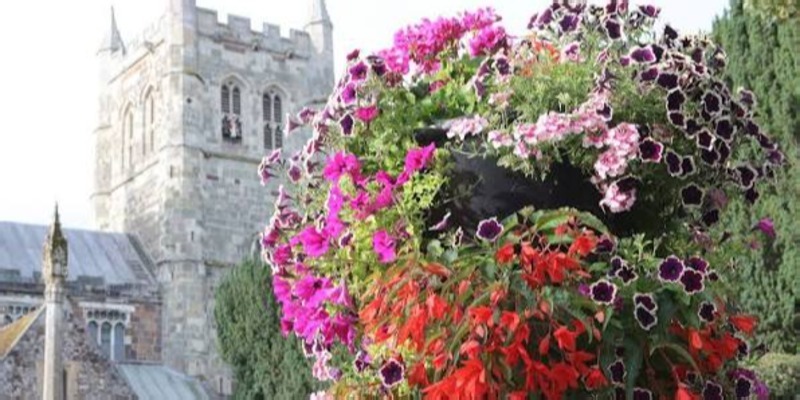 Wimborne Open Gardens - Sunday 28th June - 11am-5pm